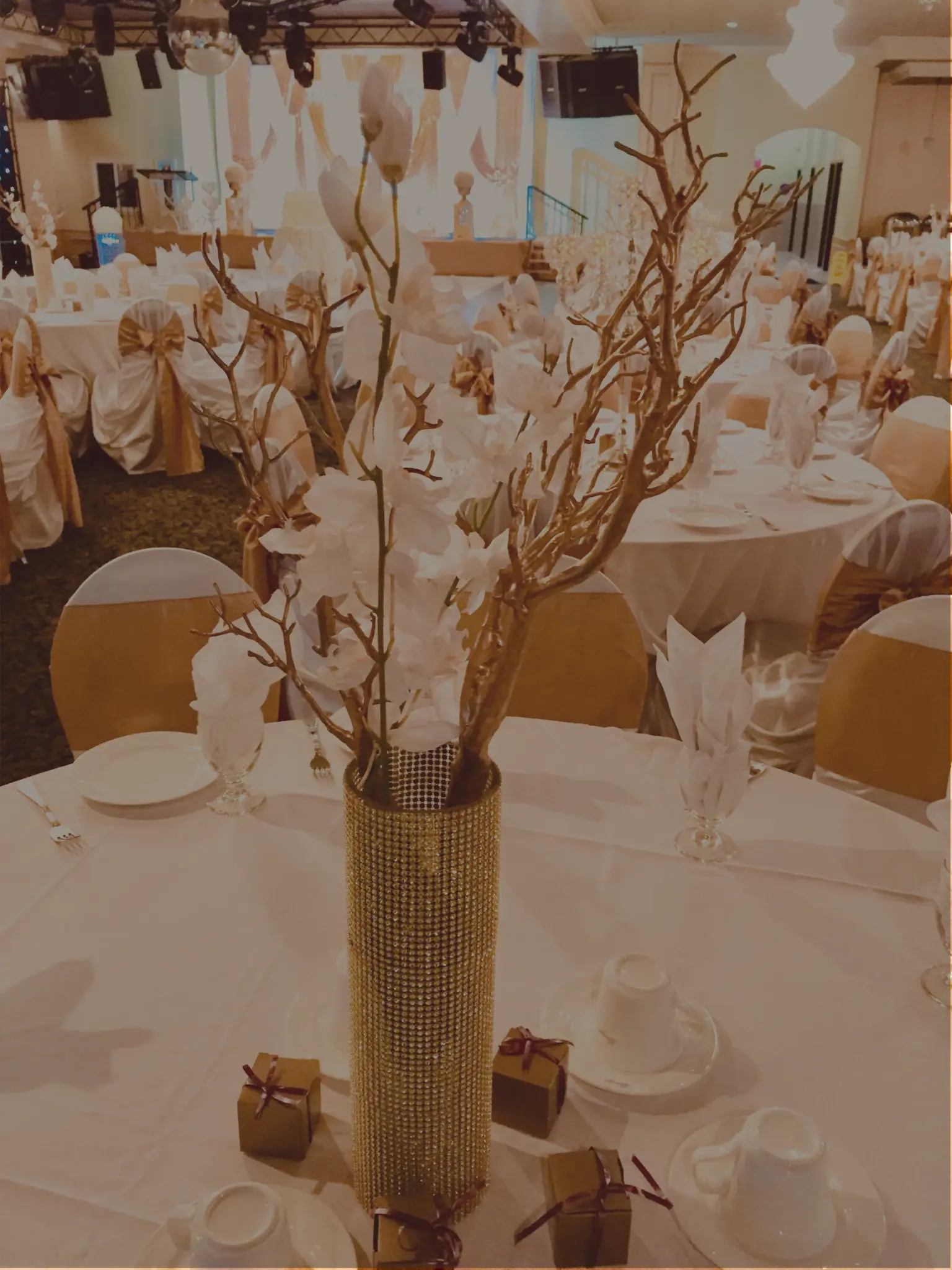 Corporate event and gala décor by Dream Decorators
